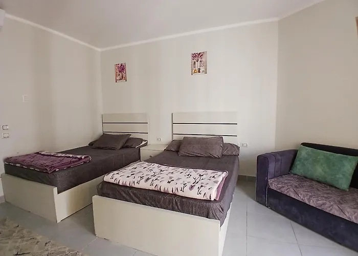 Magnificent In Hrg With Access, 5 Min From Downtown Appartement